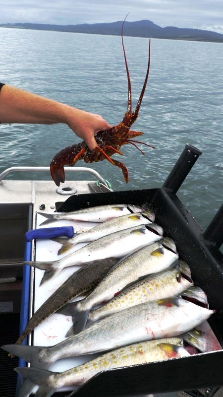 Angler holding a crayfish caught on a Mr Flathead charter